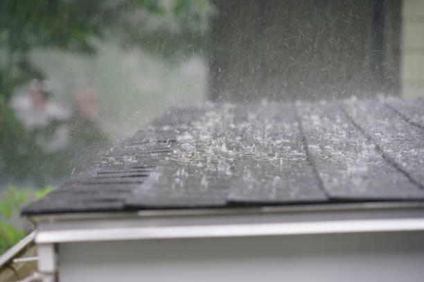 Best Storm Damage Roof Repair  in Greenville, OH
